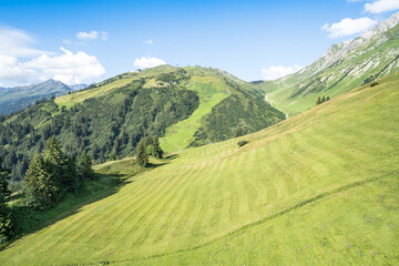 Naklejka premium Idyllic summer landscape in the Alps
