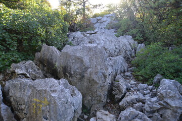 Costiera Carsica Trieste
