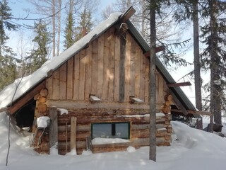 log cabin in the woods