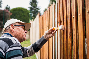 Active senior man painting wooden fence in garden. Old craftsman working at backyard. Repairing picket fence