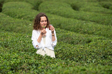 Young woman tasting young tea leaves among tea bushes