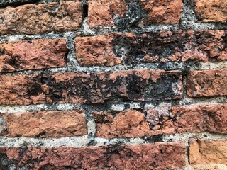 old brick wall or ancient old brick  wall. for background