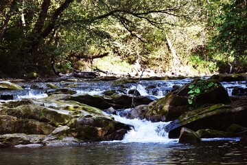 waterfall in the forest poland, bieszczady region