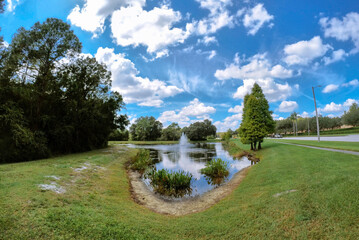 The Autumn landscape of New Tampa, Florida: beautiful cloud and blue sky	
