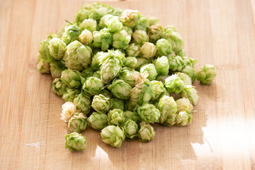 Humulus Lupulus