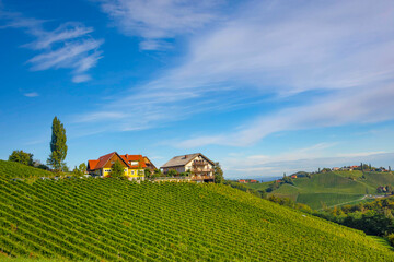 Vineyards along South Styrian Wine Road, a charming region on the border between Austria and...