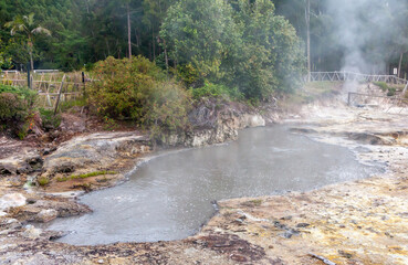 boiling lake, hot sulfur spring in the middle of a green forest