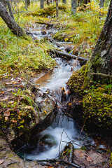 mountain stream flows through the autumn forest, stormy streams of water flow through large rocks, autumn landscape.