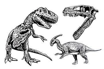  set of dinosaurs on white background, jpg illustration,paleonthology