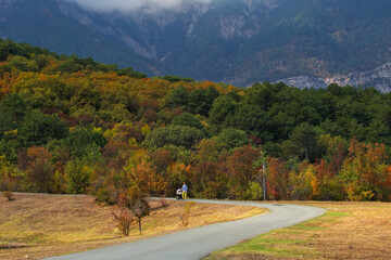 Fototapeta na wymiar Very beautiful colorful autumn landscape. Paved road in the mountains in autumn. A girl with a stroller in the Park is walking along the autumn road.