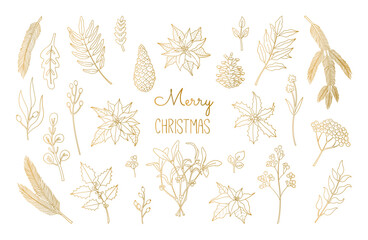 Set of Christmas, New Year plants, poinsettia, pine, berry Laurel in gold colors. Hand drawn floral collection. Vector illustration in Scandinavian doodle style isolated on white background.