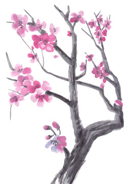 Realistic sakura blossom - Japanese cherry tree isolated on white background. Cherry Blossom. Pink sakura flowers, jpg illustration