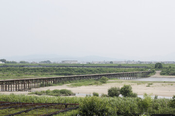 Fototapeta na wymiar 流れ橋と茶畑