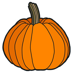 Vector illustration. Hand drawing pumpkin. Isolated on white. Ripe orange round pumpkin.