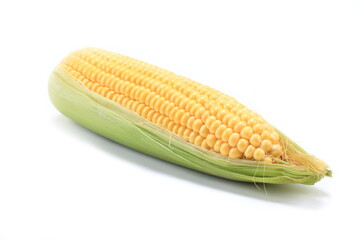 Corn cob isolated on a white background 