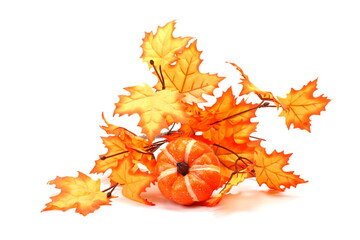 Autumn decoration on a white background