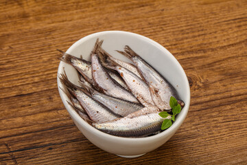 Anchovies in the bowl served basil leaves