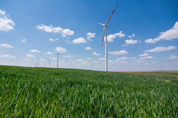 Wind turbines and agricultural field on a spring  day. Energy production, clean and renewable...