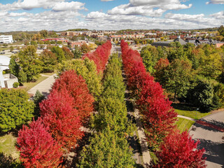 Wexford, Pennsylvania Fall Foliage