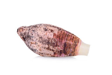 taro isolated on white background