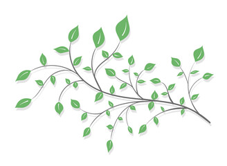 Tree branch with green leaves in a light style on a white background