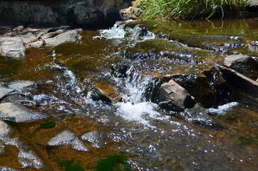 Fototapeta premium waterfall in the forest