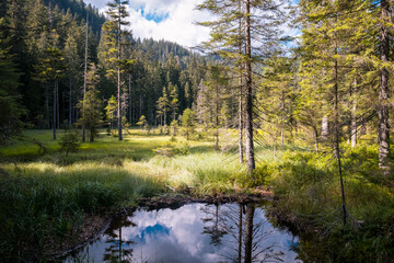 mountain cold lake in autumn forest, bohemian forest, javor, czech republic