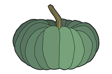 Векторная иллюстрация. Рука рисунок тыквы. Изолированные на белом рисунок большой зеленой тыквы