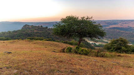 Obraz premium sunset in the mountains with trees