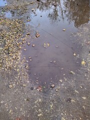 muddy puddle in a broken road in the autumn season