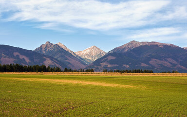 Naklejka premium Western Tatras panorama (Klin and Bystra peaks), field with grass in foreground
