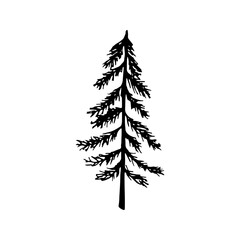 Single hand drawn New Year and Xmas pine tree. Doodle vector illustration for winter greeting cards, posters, stickers and seasonal design.