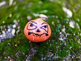 halloween pumpkin on blurred green moss background in forest