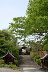 護国寺の不老門