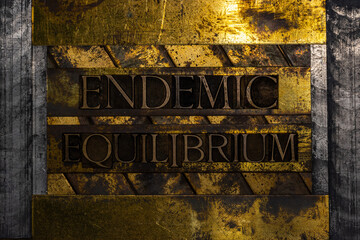 Endemic Equilibrium text message on textured grunge copper and vintage gold background