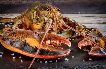 Face and claw of live lobster with details.