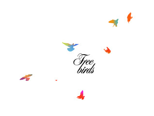 Fototapeta premium Bird watercolor. A flock of colorful birds. Mixed media. Vector illustration