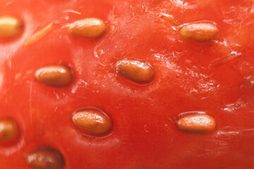 Semilla de fresa, macro.