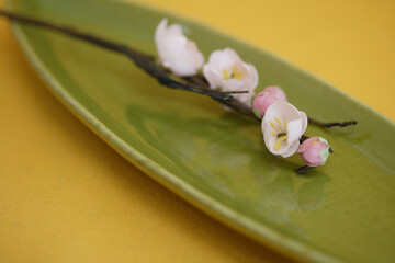 Obraz na płótnie Canvas 萌葱色の和皿と桃の花