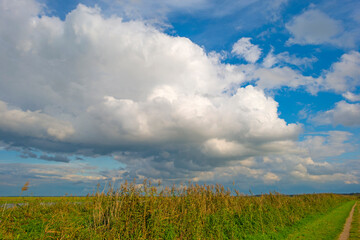 Obraz premium Dark, gray and white rain clouds and a blue sky over a windy rainy city in bright sunlight in autumn, Almere, Flevoland, The Netherlands, October 9, 2020