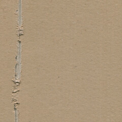 Close up of a light brown vintage rough sheet of carton. Cardboard paper texture with a blank background. Empty papercraft surface. Recycled environmentally friendly material.