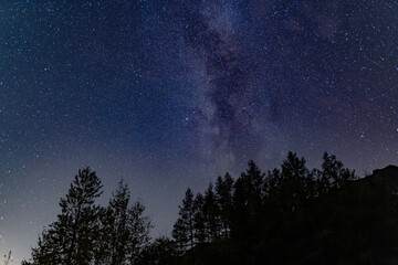 Fototapeta na wymiar The milky way over the trees by Blea Tarn in the English Lake District