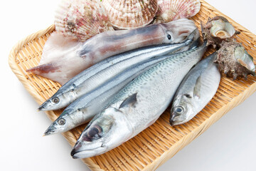 魚介盛り合わせ