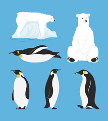 group of penguins birds and polar bears characters
