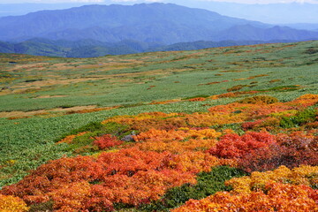 Scenery of Mt. Gassan in Japan with beautiful autumn colors