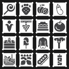 16 pack of carbohydrate  filled web icons set