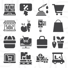 16 pack of grocery  filled web icons set