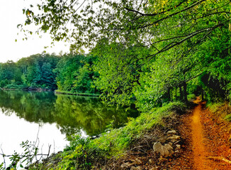 Fototapeta na wymiar A landscape of a nature trail by a lake at Lake Crabtree park in North Carolina.