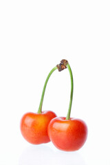 国産サクランボ