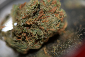 Cannabis bud medical marihuana super lemon haze high quality modern prints